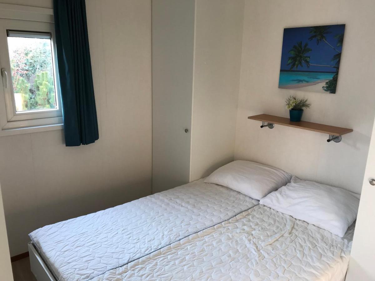Blauwe Zeedistel Villa IJmuiden Exteriör bild